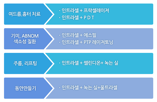 인트라셀 효과를 극대화 하기 위한 병합 치료 프로그램