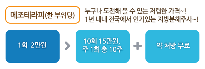 지방분해주사